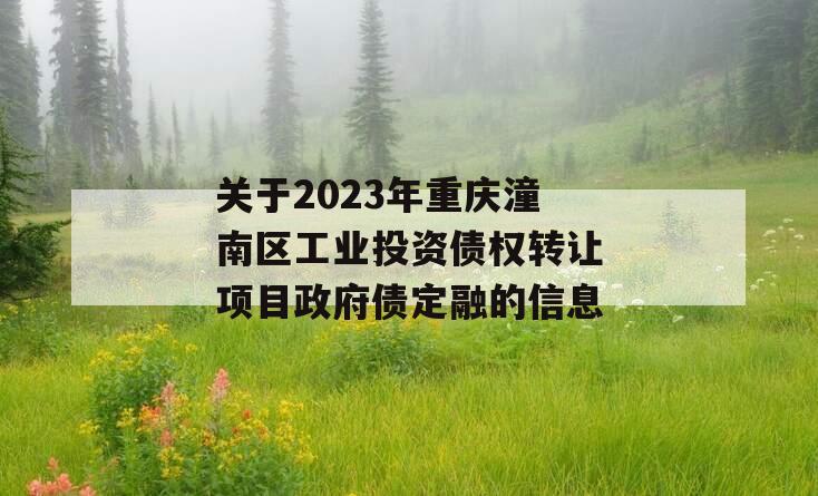 关于2023年重庆潼南区工业投资债权转让项目政府债定融的信息