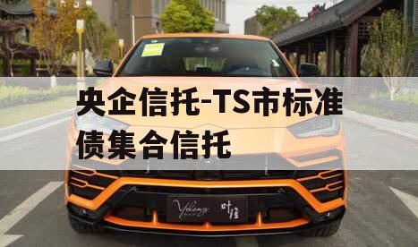 央企信托-TS市标准债集合信托