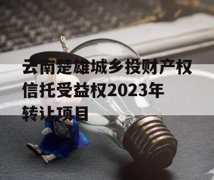 云南楚雄城乡投财产权信托受益权2023年转让项目