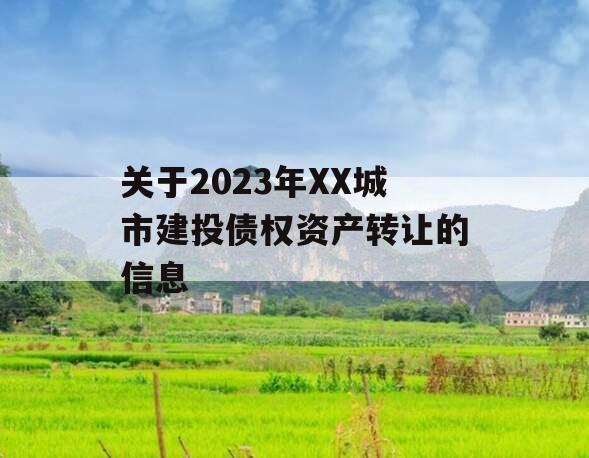 关于2023年XX城市建投债权资产转让的信息