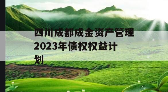 四川成都成金资产管理2023年债权权益计划