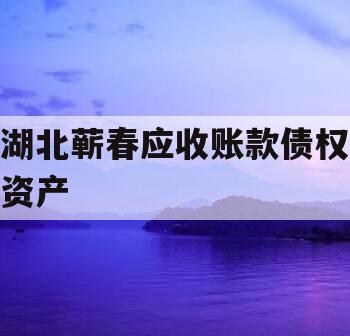 湖北蕲春应收账款债权资产