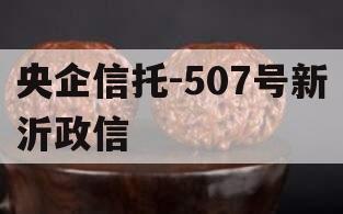 央企信托-507号新沂政信