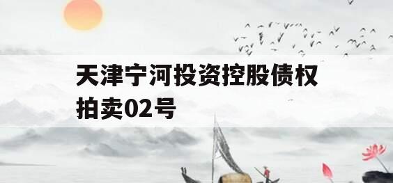 天津宁河投资控股债权拍卖02号