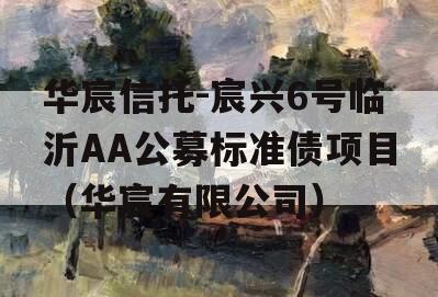 华宸信托-宸兴6号临沂AA公募标准债项目（华宸有限公司）
