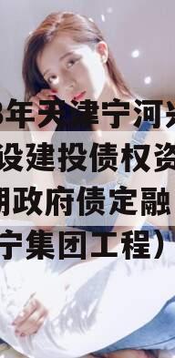 2023年天津宁河兴宁建设建投债权资产转让1期政府债定融（宁河兴宁集团工程）