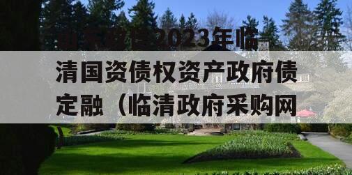 山东政信2023年临清国资债权资产政府债定融（临清政府采购网）