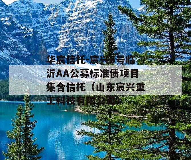 华宸信托-宸兴6号临沂AA公募标准债项目集合信托（山东宸兴重工科技有限公司）