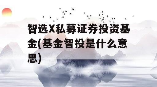 智选X私募证券投资基金(基金智投是什么意思)