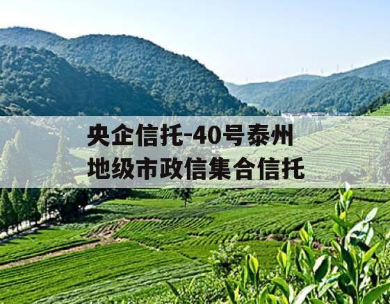 央企信托-40号泰州地级市政信集合信托
