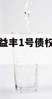 邓州益丰1号债权资产计划
