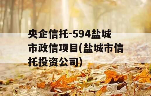 央企信托-594盐城市政信项目(盐城市信托投资公司)