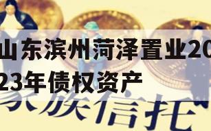 山东滨州菏泽置业2023年债权资产