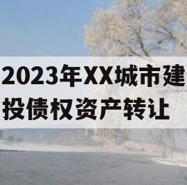 2023年XX城市建投债权资产转让