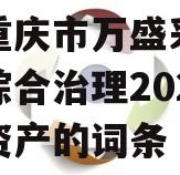 包含重庆市万盛采煤沉陷区综合治理2023债权资产的词条