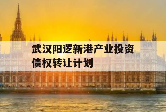 武汉阳逻新港产业投资债权转让计划 武汉阳逻新港产业投资债权转让计划