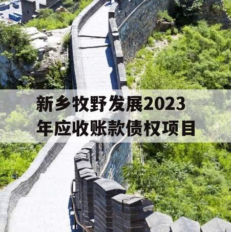 新乡牧野发展2023年应收账款债权项目