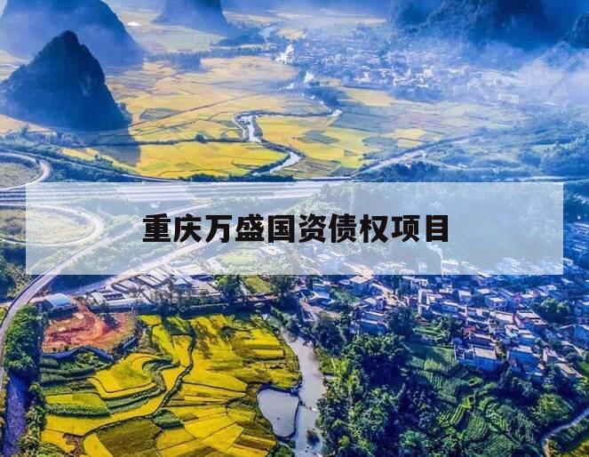 重庆万盛国资债权项目