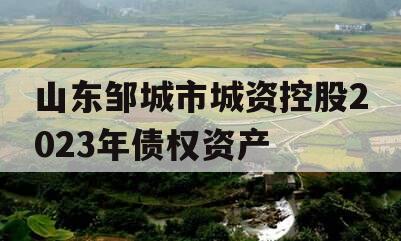 山东邹城市城资控股2023年债权资产