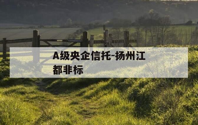 A级央企信托-扬州江都非标