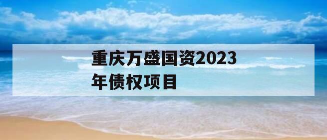 重庆万盛国资2023年债权项目