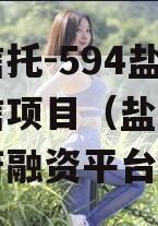 央企信托-594盐城市政信项目（盐城市市级政府融资平台名单）