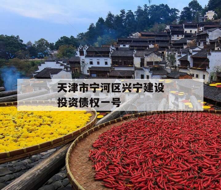 天津市宁河区兴宁建设投资债权一号