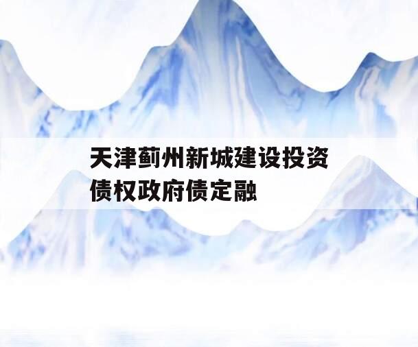 天津蓟州新城建设投资债权政府债定融