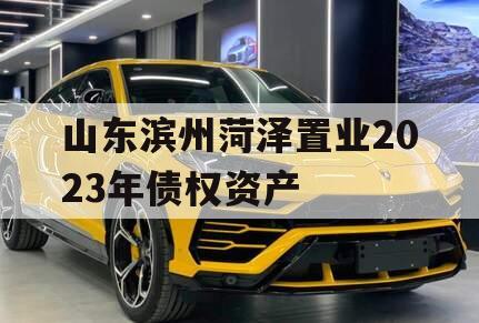 山东滨州菏泽置业2023年债权资产