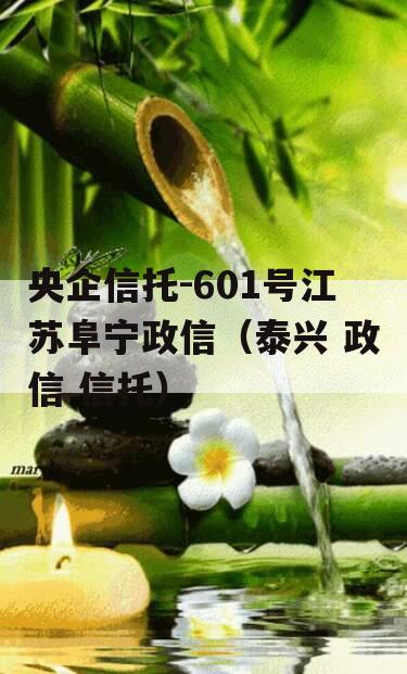 央企信托-601号江苏阜宁政信（泰兴 政信 信托）