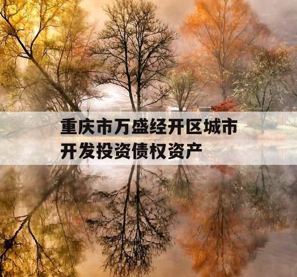 重庆市万盛经开区城市开发投资债权资产
