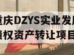 重庆DZYS实业发展债权资产转让项目