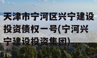 天津市宁河区兴宁建设投资债权一号(宁河兴宁建设投资集团)
