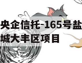 央企信托-165号盐城大丰区项目
