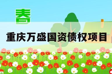 重庆万盛国资债权项目
