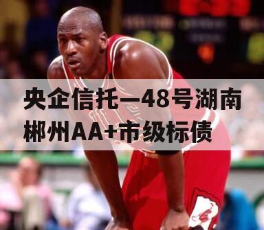 央企信托—48号湖南郴州AA+市级标债
