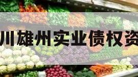 四川雄州实业债权资产