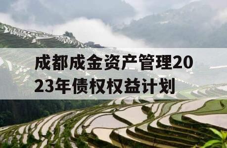 成都成金资产管理2023年债权权益计划