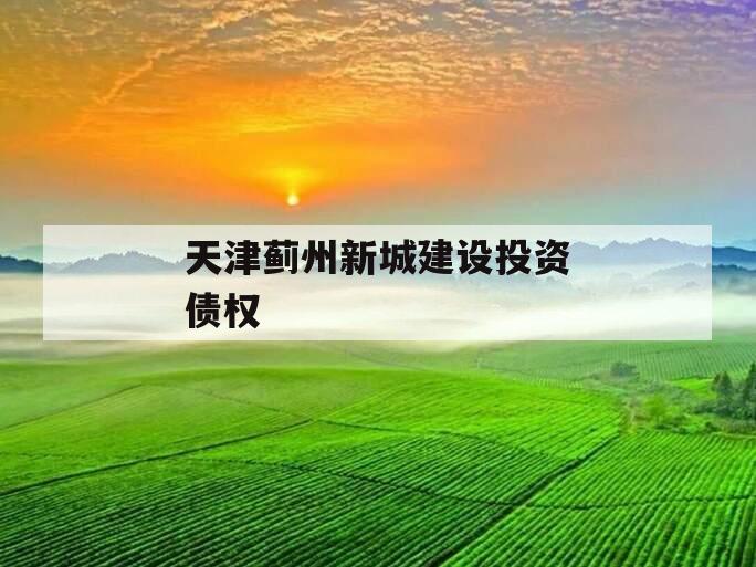 天津蓟州新城建设投资债权