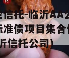 国企信托-临沂AA公募标准债项目集合信托(临沂信托公司)