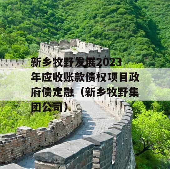 新乡牧野发展2023年应收账款债权项目政府债定融（新乡牧野集团公司）