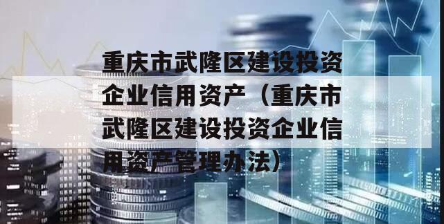 重庆市武隆区建设投资企业信用资产（重庆市武隆区建设投资企业信用资产管理办法）