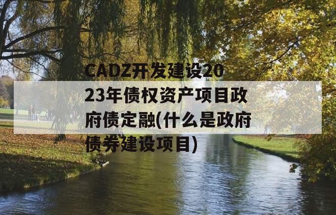 CADZ开发建设2023年债权资产项目政府债定融(什么是政府债券建设项目)