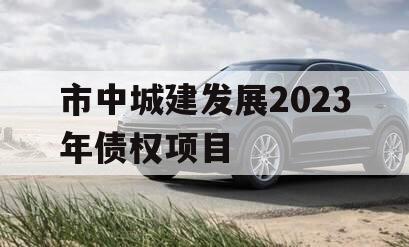 市中城建发展2023年债权项目