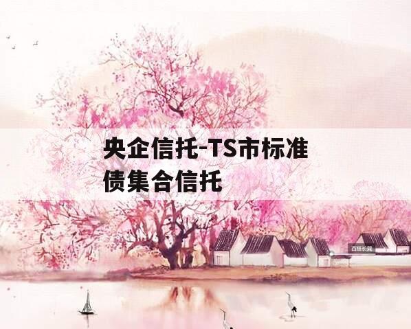 央企信托-TS市标准债集合信托