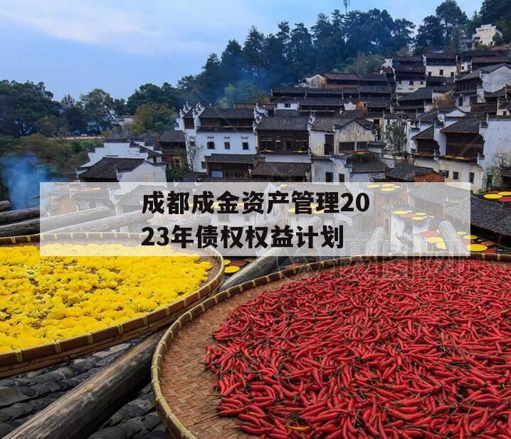 成都成金资产管理2023年债权权益计划