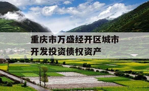 重庆市万盛经开区城市开发投资债权资产