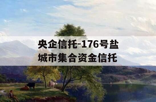 央企信托-176号盐城市集合资金信托