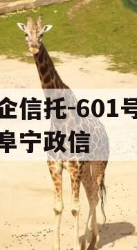 央企信托-601号江苏阜宁政信
