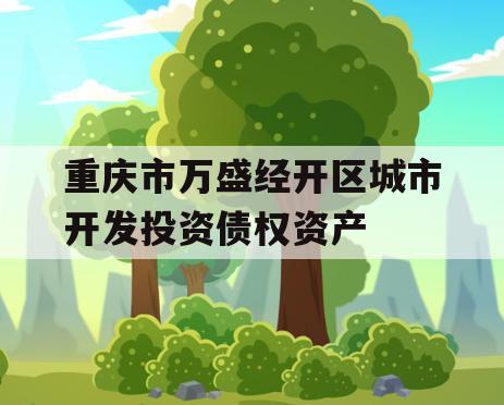 重庆市万盛经开区城市开发投资债权资产
